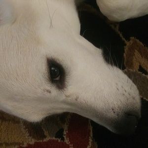 Meet your Posher, Aiden